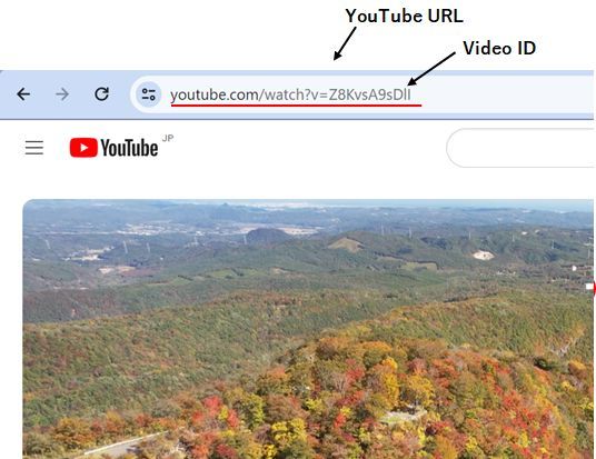 YouTube URL and video ID